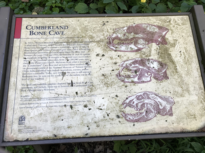 Sign about Cumberland Bone Cave