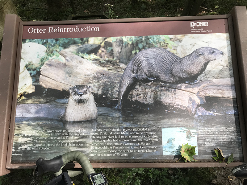 Sign about otters