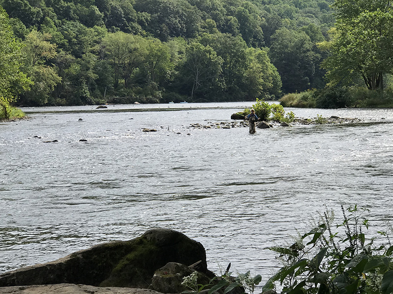Fly fisherman in the Youghiogheny River