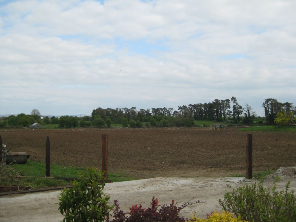 When we arrived, the farm workers had been busy tilling the field, making it ready for planting. The fields in this part of Ireland are not tilled often (only every several years.)
