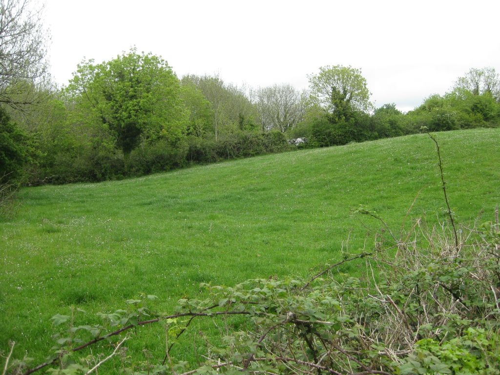 Grassy field where the home of Thomas Swift and Mary Connell once stood in the townland of Ballylee, in the parish of Kiltartan. This place was only a few hundred yards from the old tower of Thoor Ballylee.
