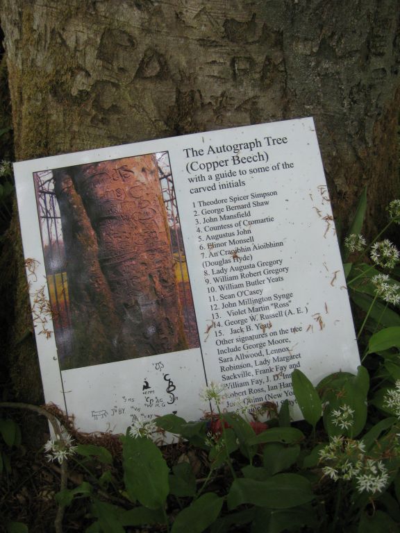 In Coole Park, legend for locating the carved names on the Autograph Tree