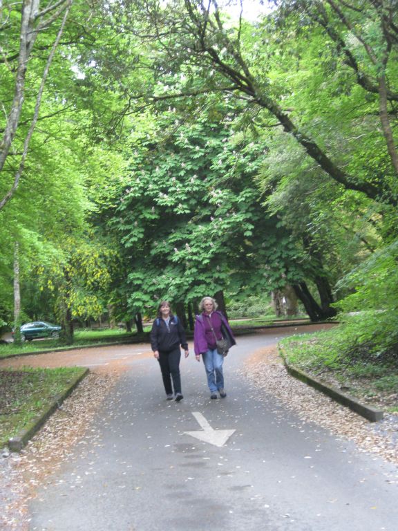 Martha Clark and Annis Householder, walking in Coole Park.