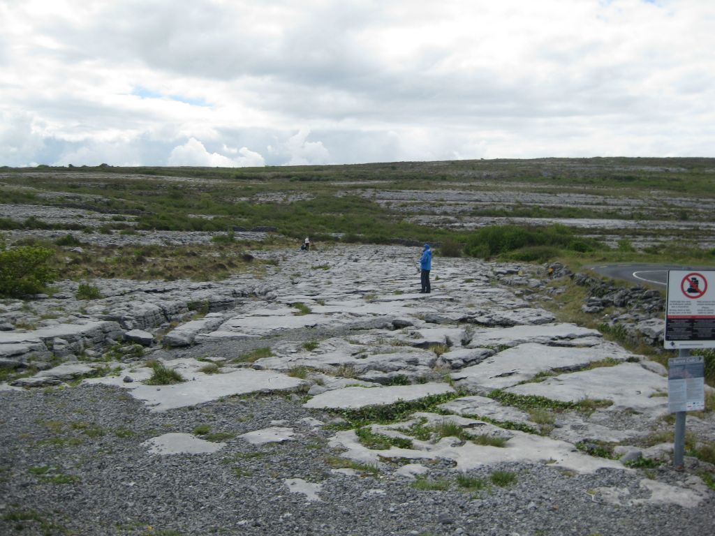 A section of limestone "pavement" in the Burren. In ancient times, this landscape had sufficient topsoil to support farming. Megalithic people lived on the heights of the Burren and left their mark in the form of tomb sites and stone fences -- more than 5,000 years old.