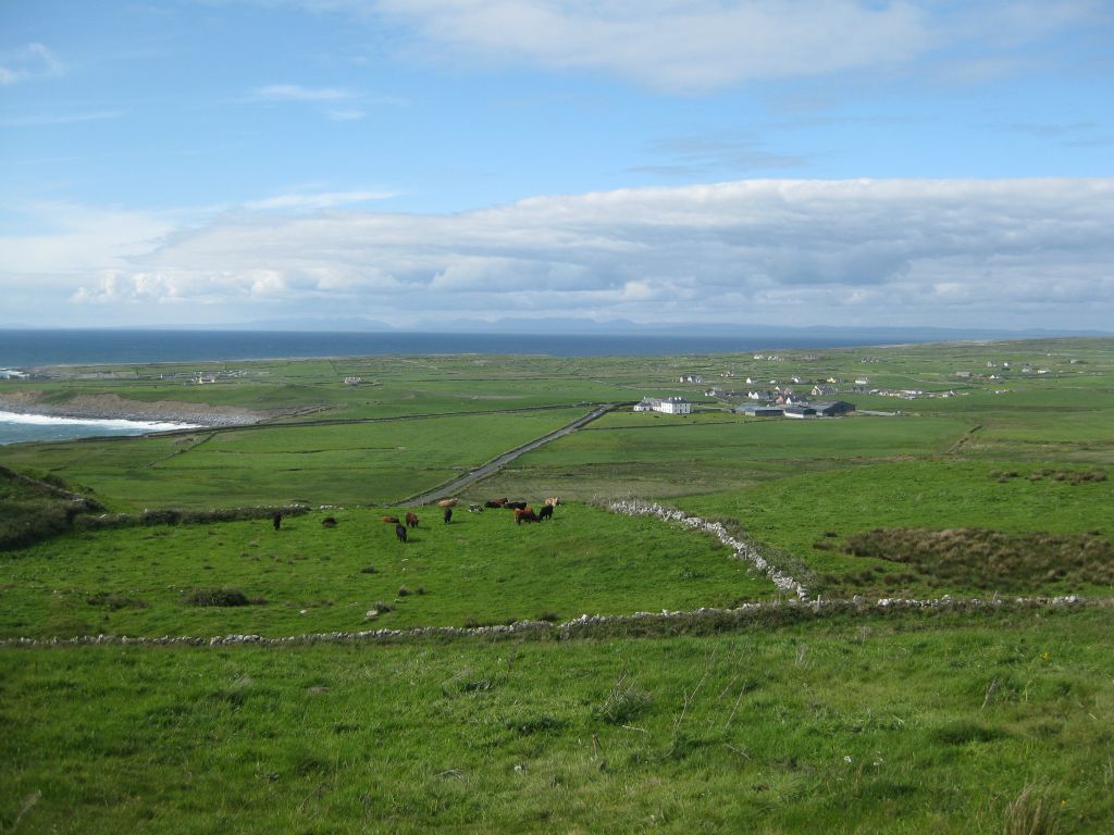Near Doolin -- the village is out of view, nestled closer to the coast