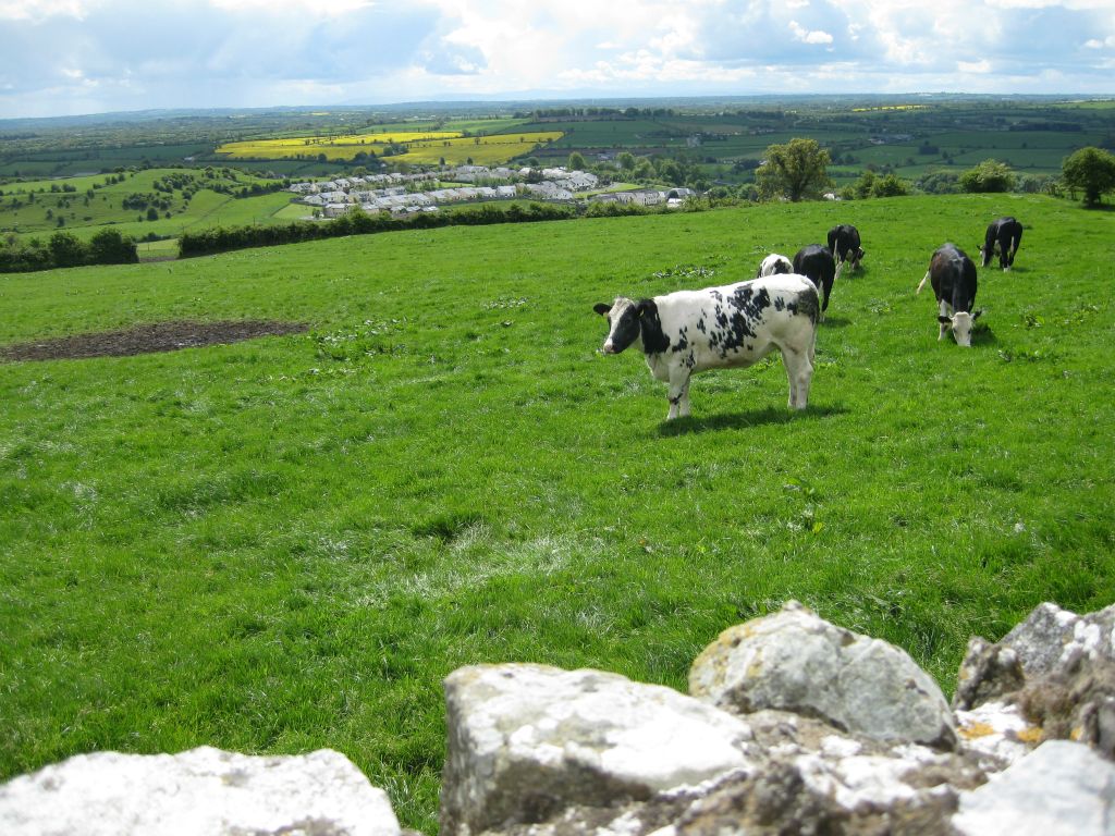 Hill of Slane (cows of Slane), looking southward toward Tara. Small subdivision of Slane is visible below.
