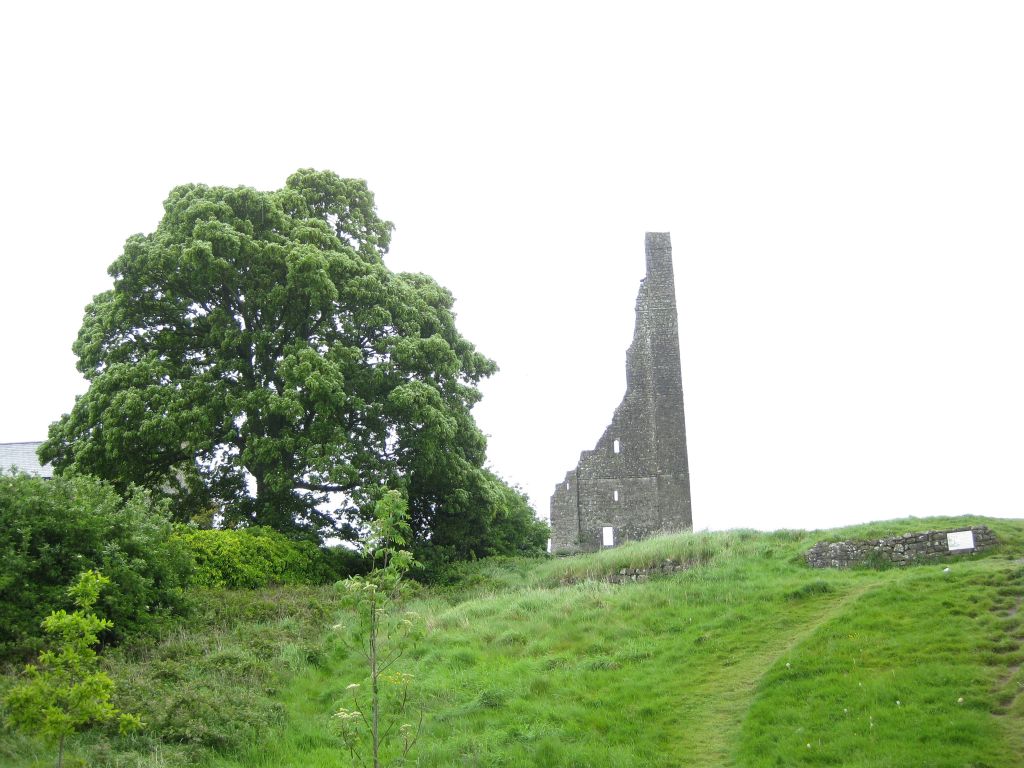 Ruins of Trim Castle