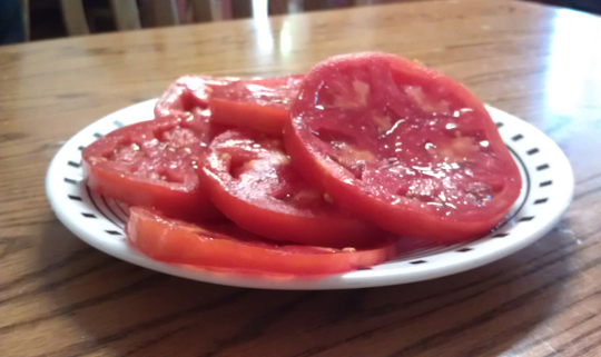 Plate of fresh tomatoes