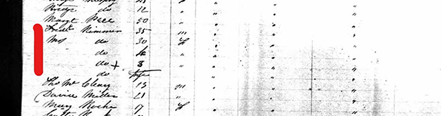 Passenger list detail showing names of the Rimmer family - The Great Western, arriving 12 Sept 1851 at New York from Liverpool