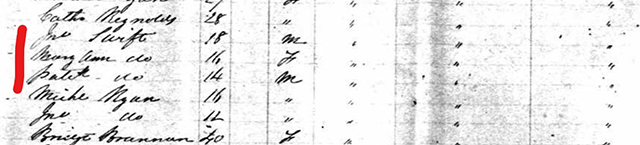 Page 4 of the passenger list for The Great Western packet ship, arriving in New York on 12 Sept 1851 from Liverpool, showing the names of the Swift family