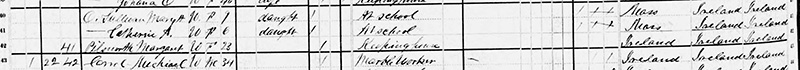 Margaret Pillsworth's name in 1880 Census